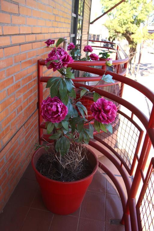 Hosteria Maryland بوساداس المظهر الخارجي الصورة